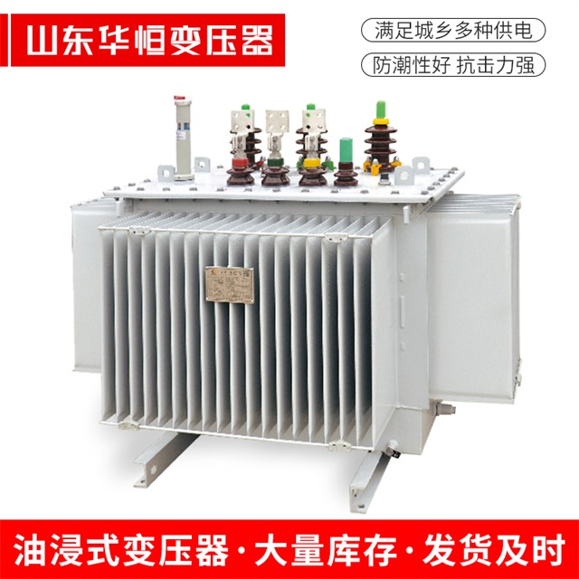 S13-10000/35东河东河东河电力变压器